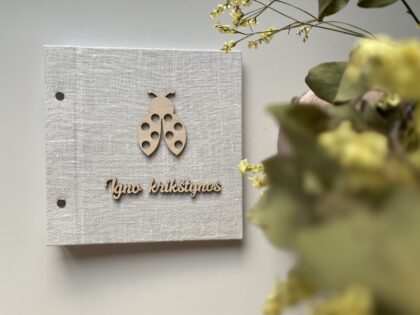 Palinkėjimų Knyga Krikštynoms "Ignas"