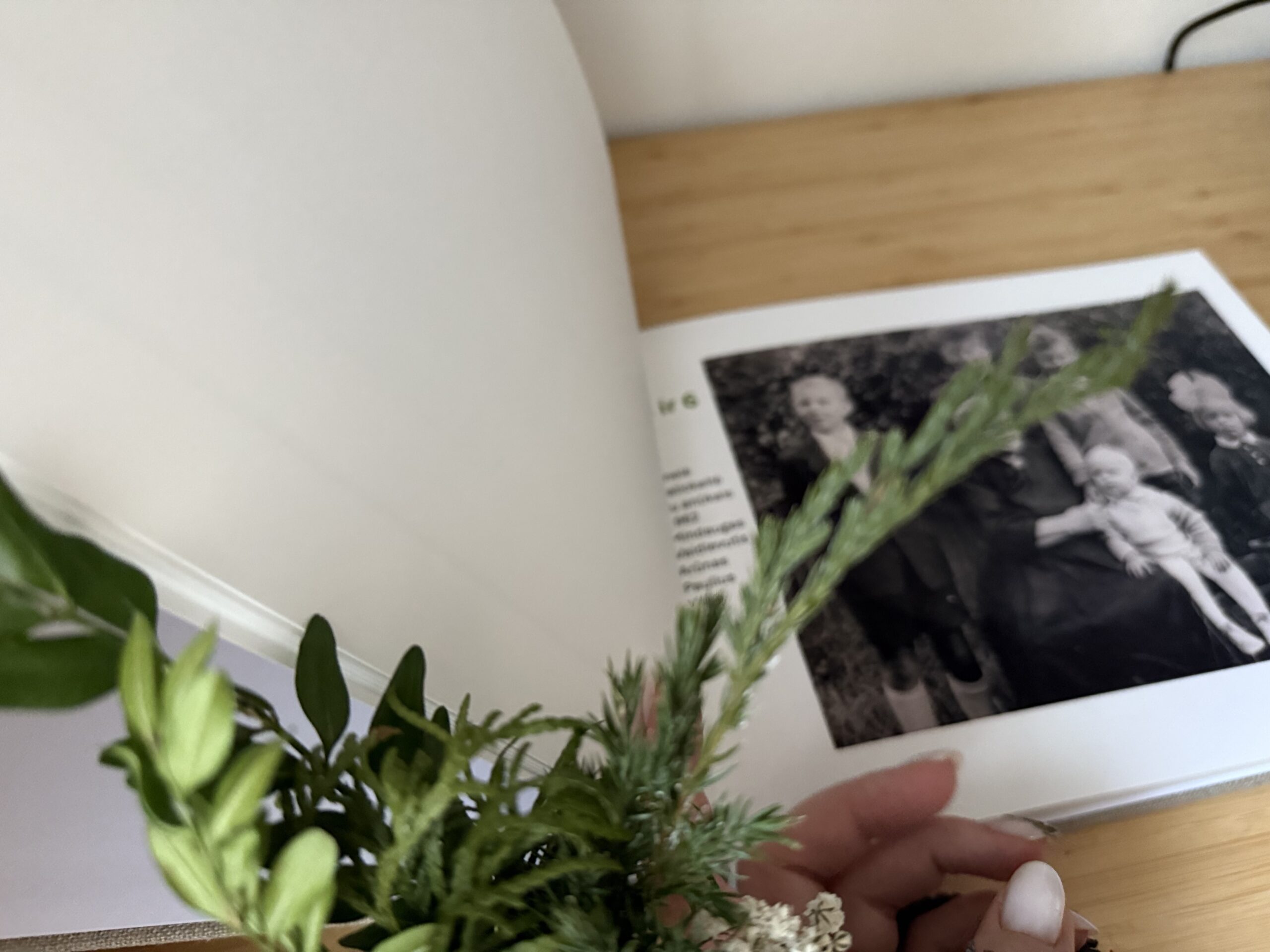 Fotoknyga Nuotraukų Albumas "Šeima" - Image 4