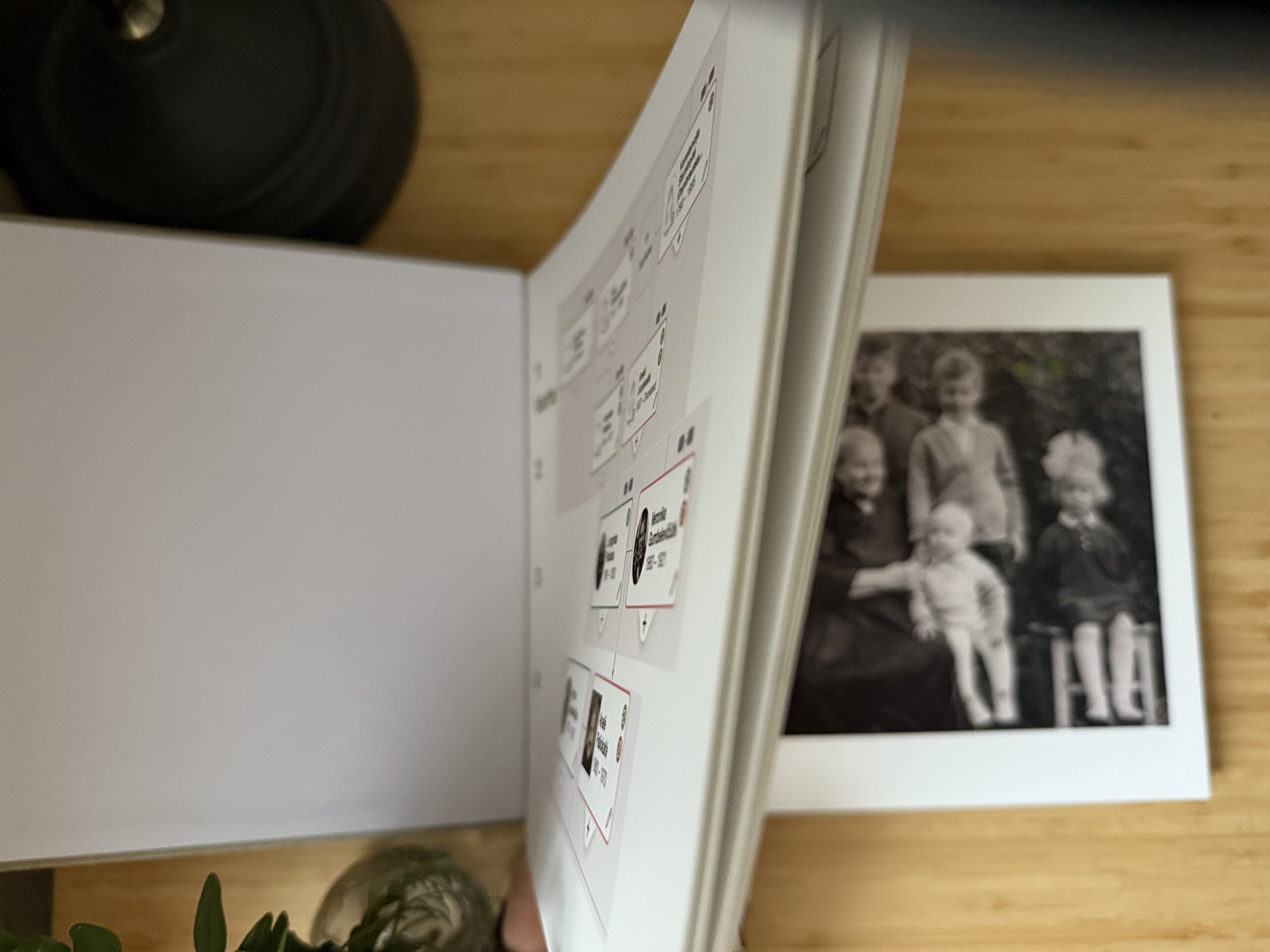 Fotoknyga Nuotraukų Albumas "Šeima" - Image 3