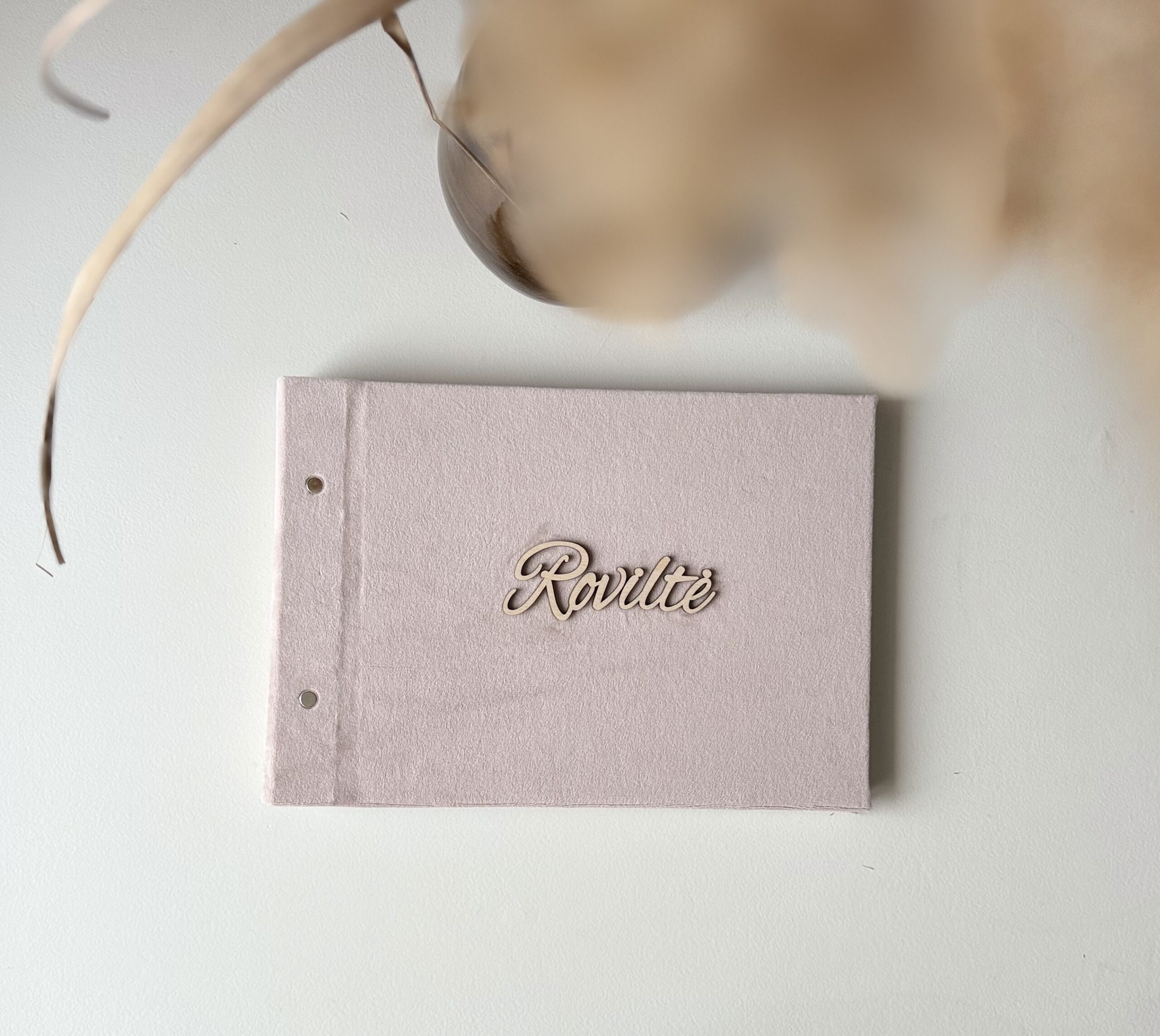 Nuotraukų Albumas "Roviltė"