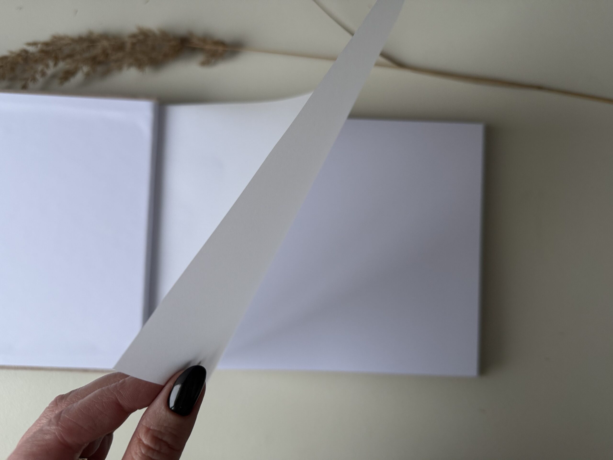 Nuotraukų Albumas "Roviltė" - Image 5