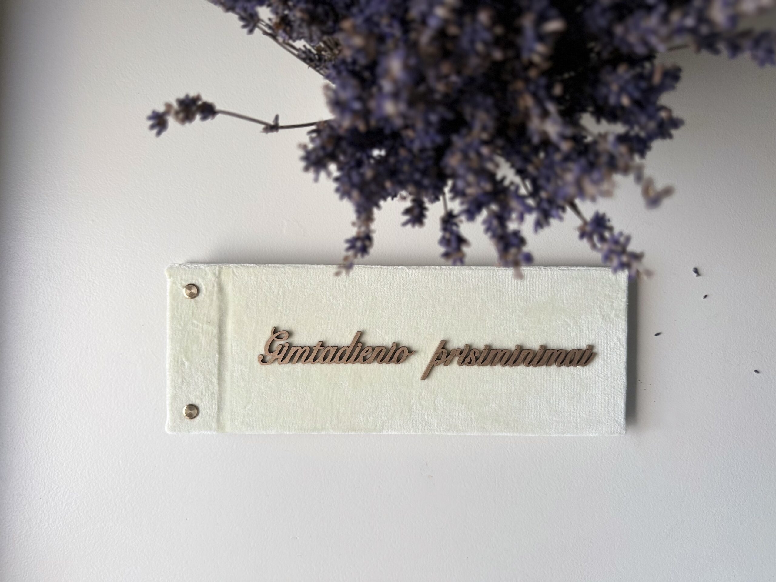 gimtadienio prisiminimai